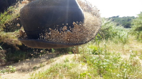 L'inconscient està estructurat com un paisatge